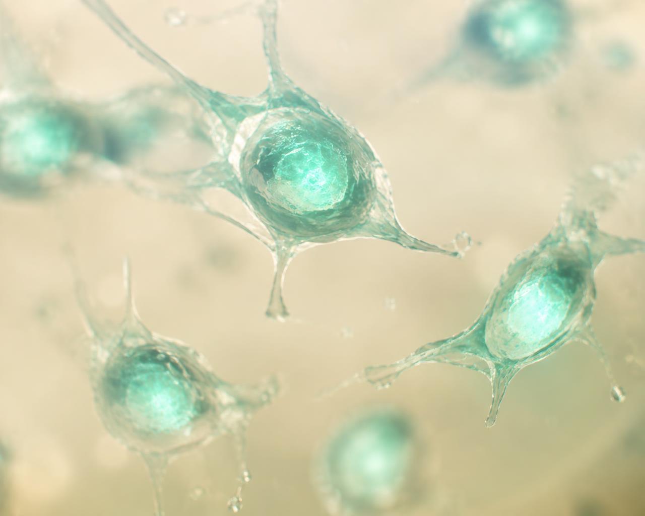 Macro photograph of mesenchymal stem cells with a soft teal glow